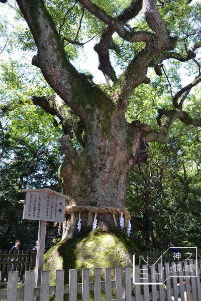 DSC_0030.JPG