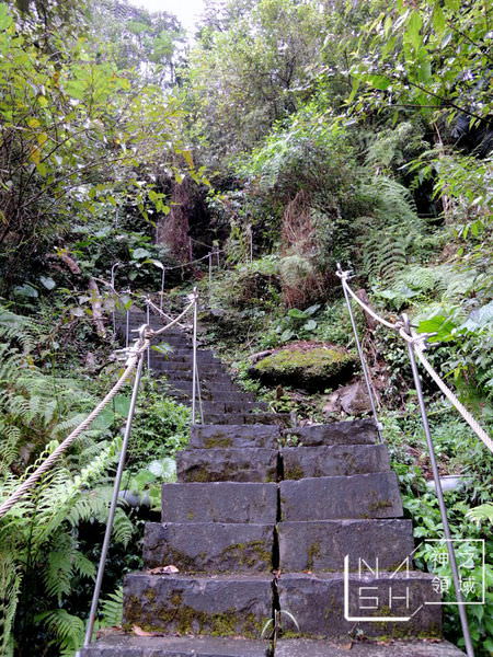 DSCN1791.JPG