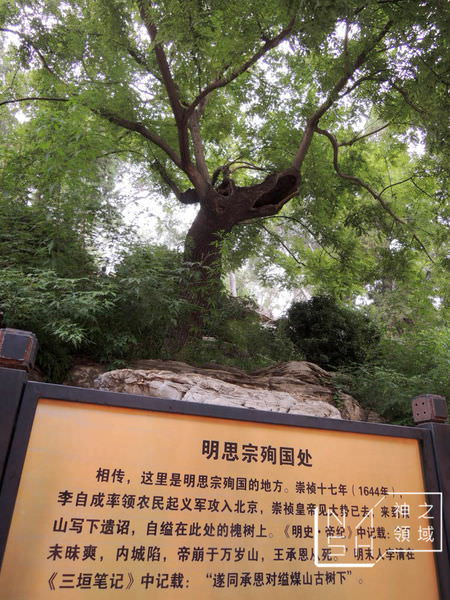 DSCN8501.JPG
