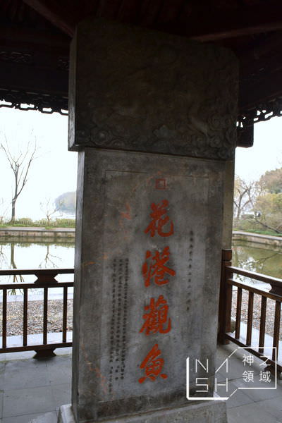 DSC_0040.JPG