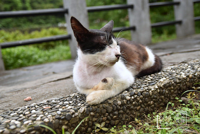 DSC_0032_结果