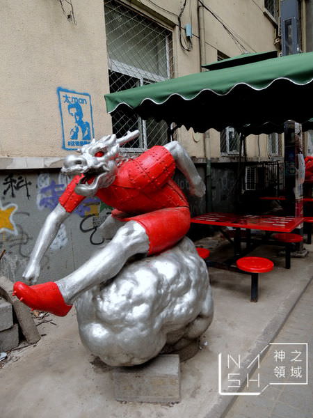 DSCN8571.JPG