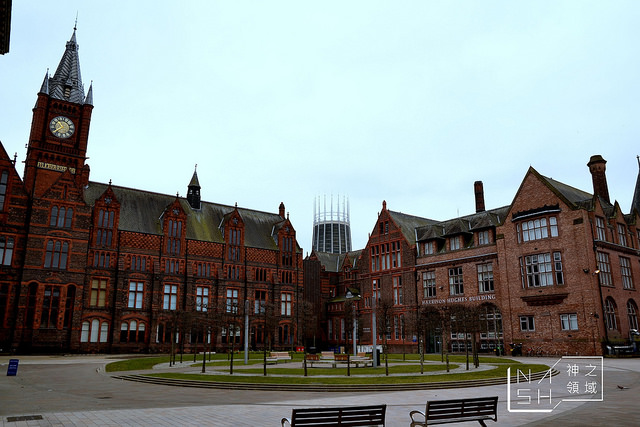 DSC_0137_结果