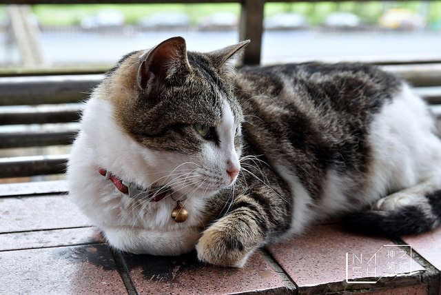 DSC_0134_结果