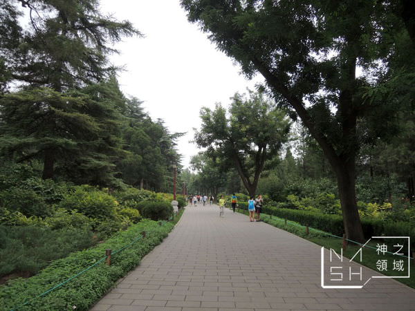 DSCN8500.JPG