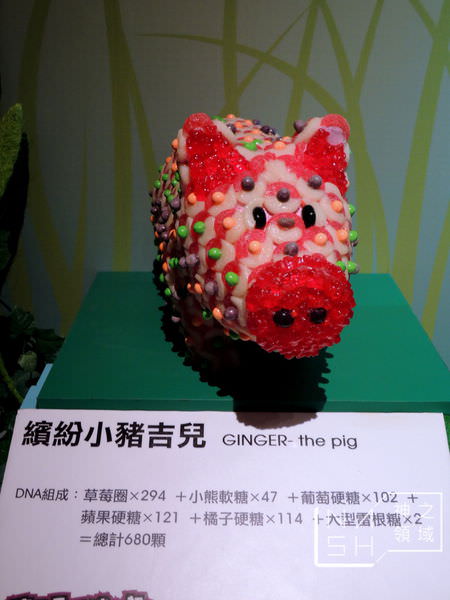 DSCN5551.JPG