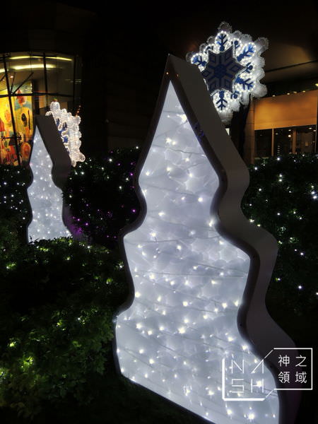 DSCN9389.JPG