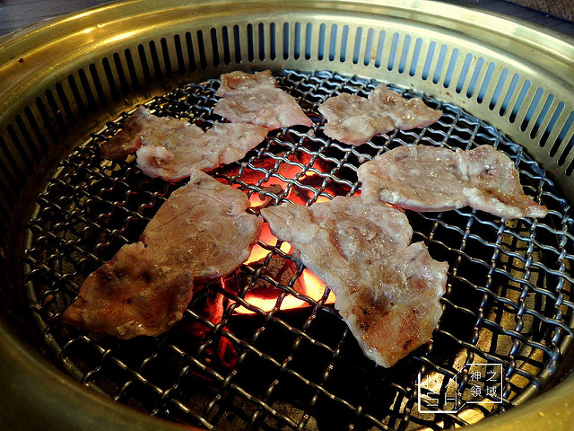 DSCN5870_结果