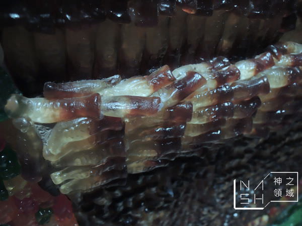 DSCN5570.JPG