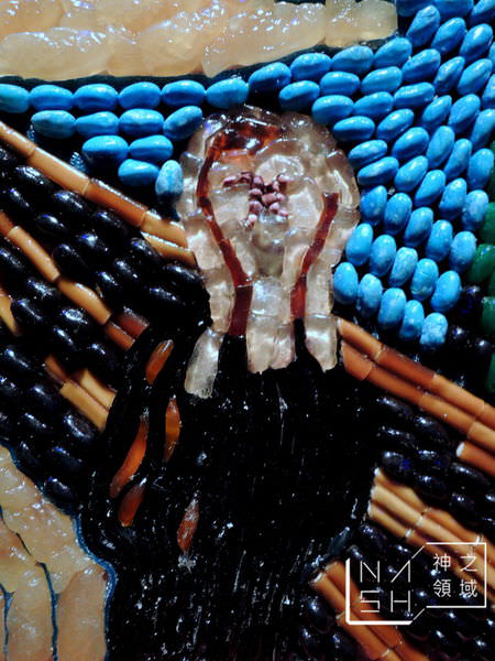 DSCN5492.JPG