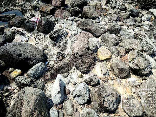 DSCN5648.JPG