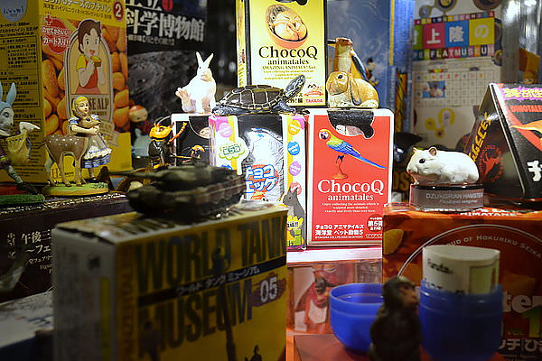 DSC_0010.JPG DSC_0010.JPG