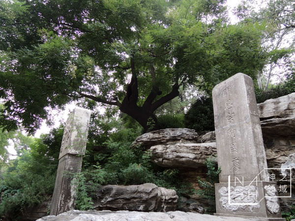 DSCN8502.JPG