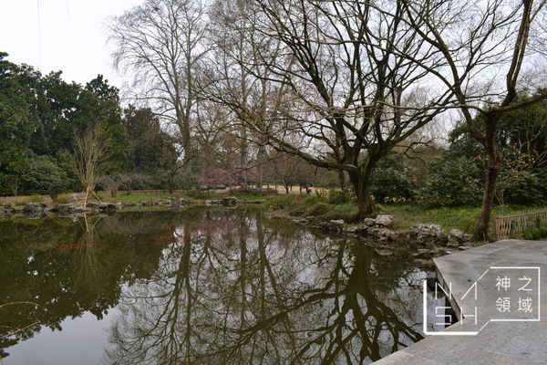 DSC_0058.JPG