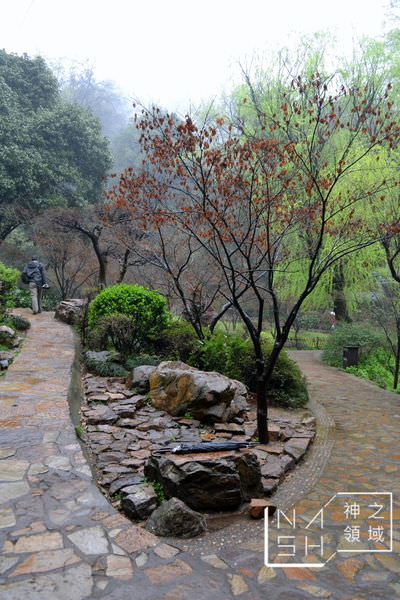 DSC_0055.JPG