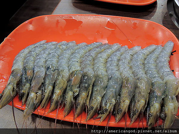 DSCN3293.JPG