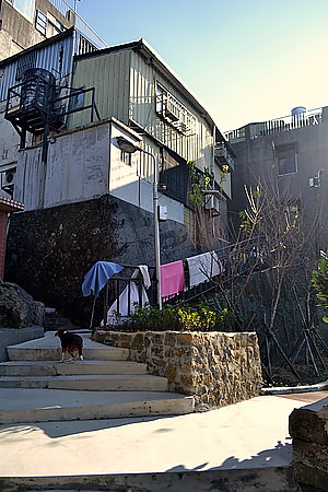 DSC_0096