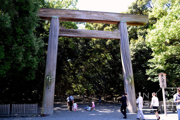 DSC_0024.JPG