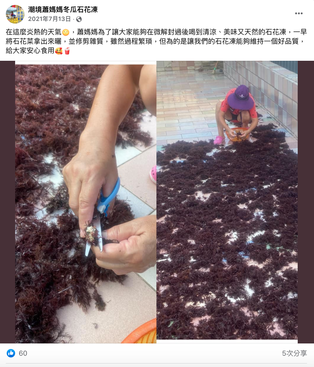潮境蕭媽媽冬瓜石花凍