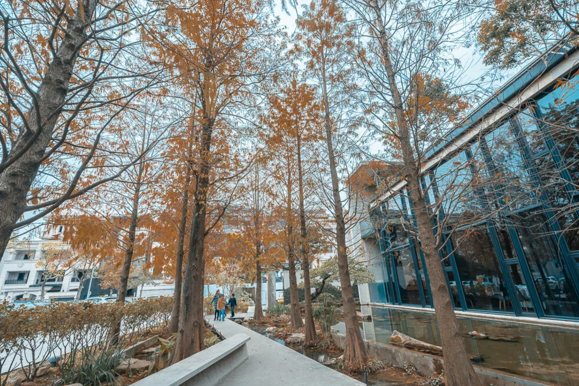与玥樓頂級粵菜餐廳
